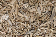 biomass boilers Lundie
